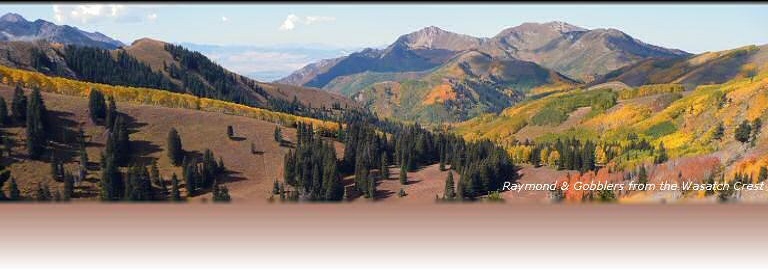 Wasatch Mountains