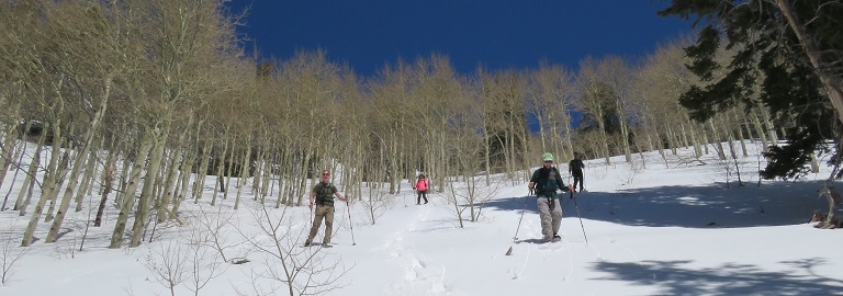 Wasatch Mountains