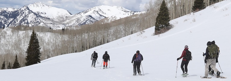 Wasatch Mountains