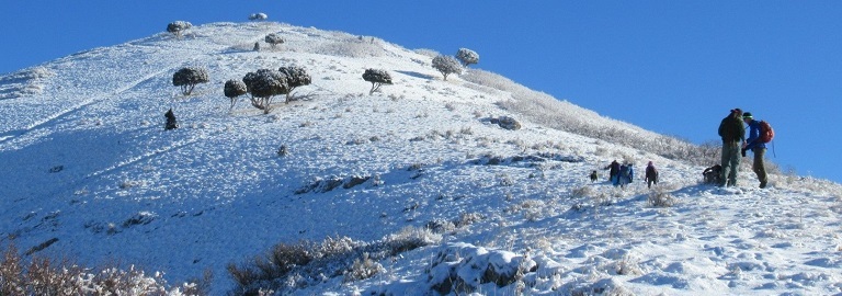 Wasatch Mountains