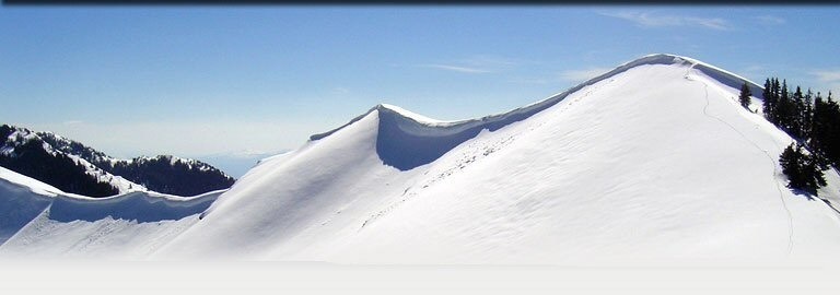 Wasatch Mountains